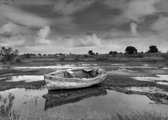 Appartement - Vue Mer, Terrasse, Wifi Fibre&piscine, à 2 Pas De L'océan - E101 *