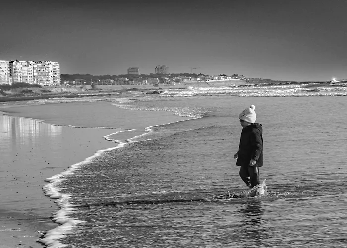 - Vue Mer, Terrasse, Wifi Fibre&piscine, à 2 Pas De L'océan - E101 Les Sables-dʼOlonne